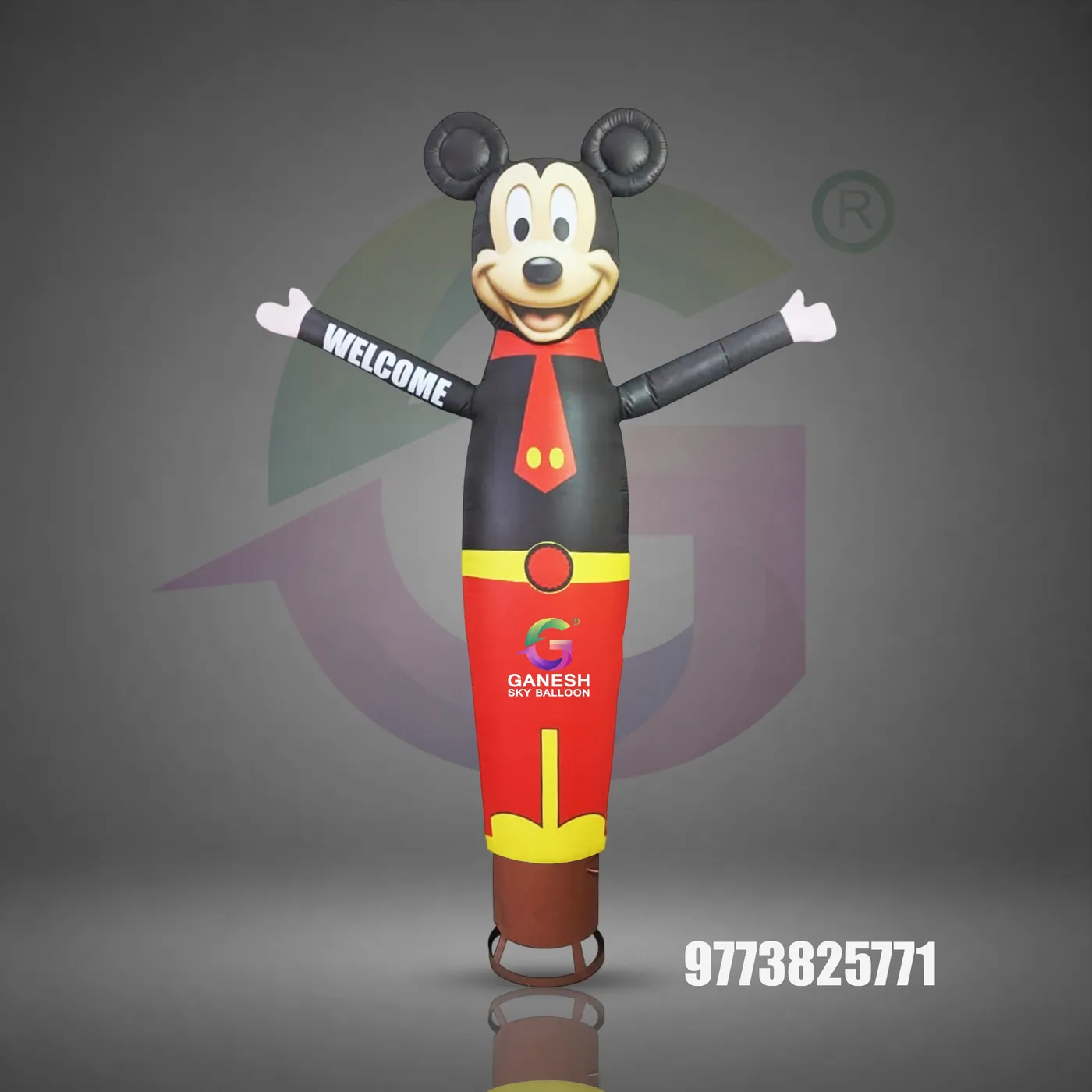 Custom branded Air Dancer sample